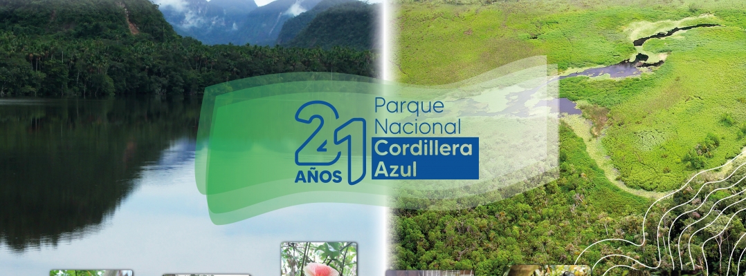 El Parque Nacional Cordillera Azul cumple 21 años de creación y continúa siendo fuente de vida para las comunidades en la Zona de Amortiguamiento