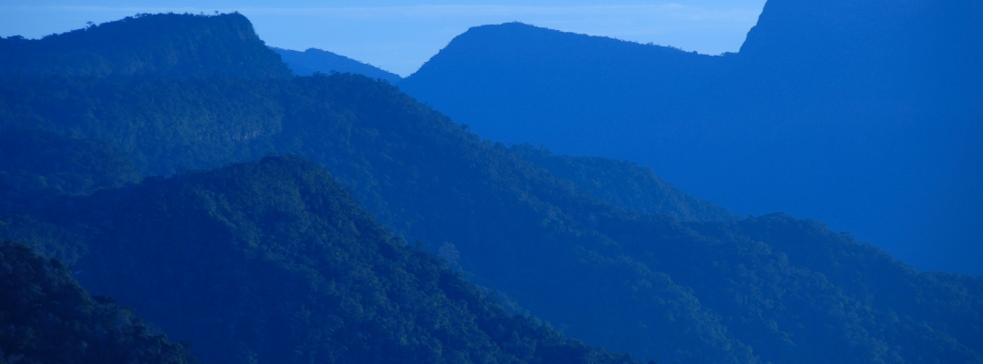¡Feliz 14 aniversario Parque Nacional Cordillera Azul!