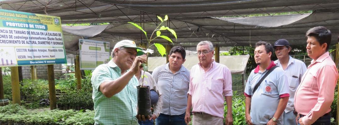Aprendizajes del Proyecto Restauración Cordillera Azul, son aprovechados por la Universidad Nacional Agraria de la Selva