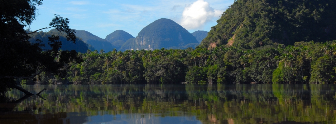 Gestión del Parque Nacional Cordillera Azul reconocido a nivel internacional al ingresar a Lista Verde de la UICN