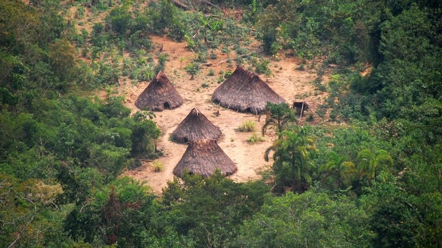 Se crea Reserva Indígena Kakataibo Norte y Sur, con casi 150 mil hectáreas de bosques a favor de pueblo en aislamiento