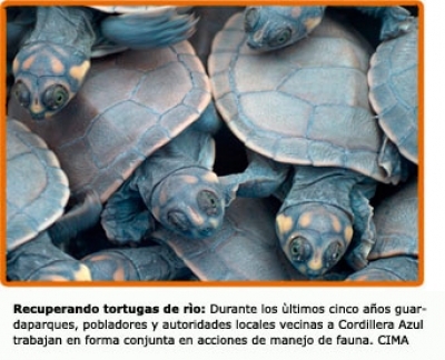 Archivo Diciembre 2008