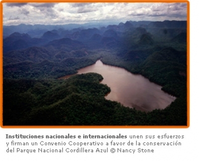 Archivo Enero 2009