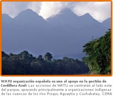 Archivo Febrero 2008