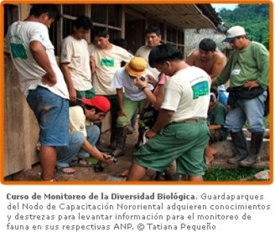 Archivo Julio 2007