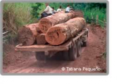 Archivo Junio 2006-2