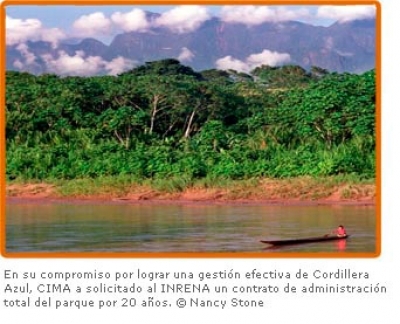 Archivo Noviembre 2007