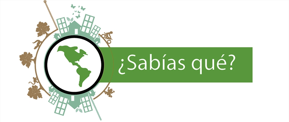 ¿Sabías qué? 