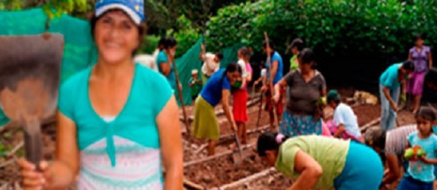 Cordillera Azul asume compromiso global