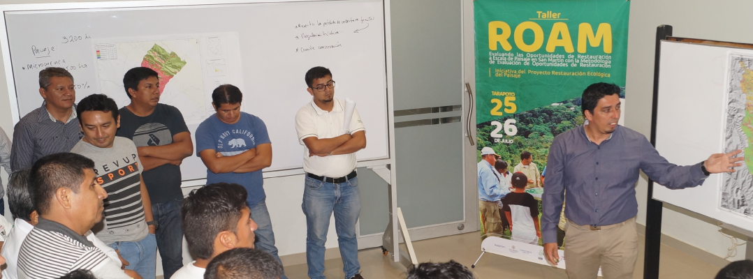 Evaluando las Oportunidades de Restauración a Escala de Paisaje en San Martín 