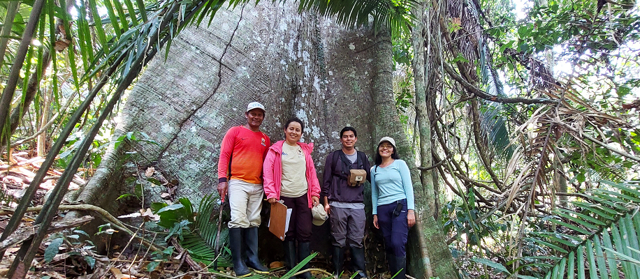 Avances en el Monitoreo de Fauna en la Concesión de Conservación Pauya Cushabatay 