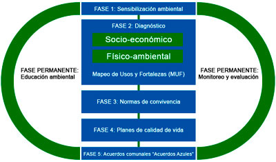 gráficoFOCAL