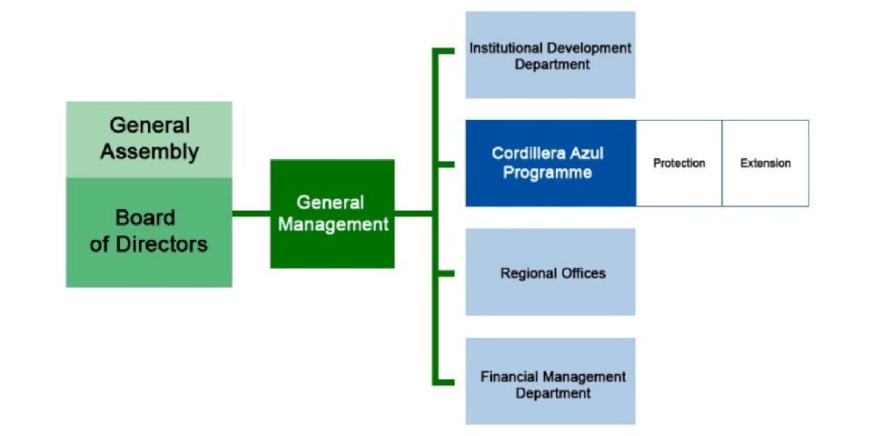 Organization chart